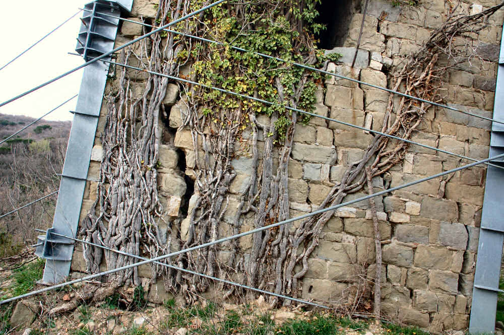 La Torre pendente di Vernazzano