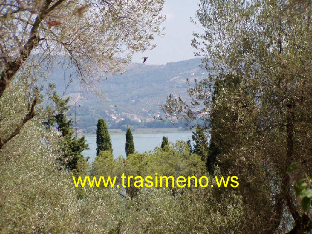 Isola Maggiore scorci sul Lago Trasimeno