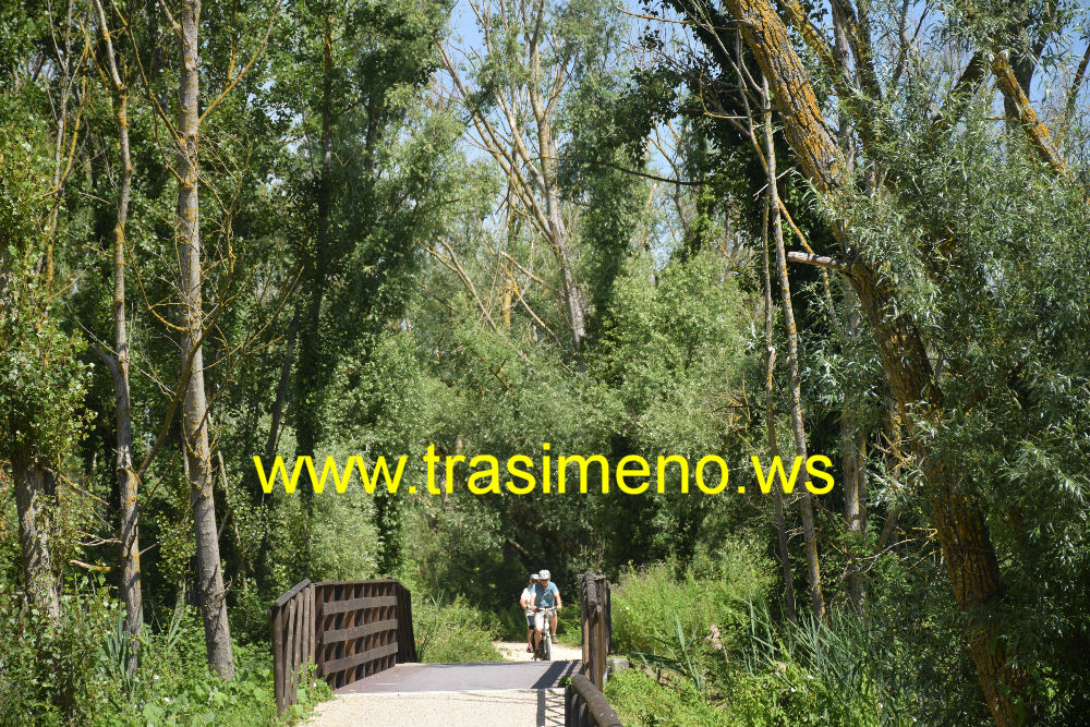 Pista ciclabile