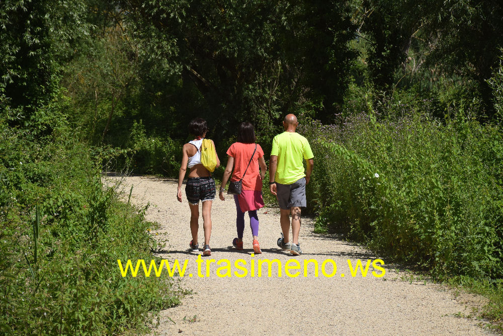 Pista ciclabile ... e pedonale