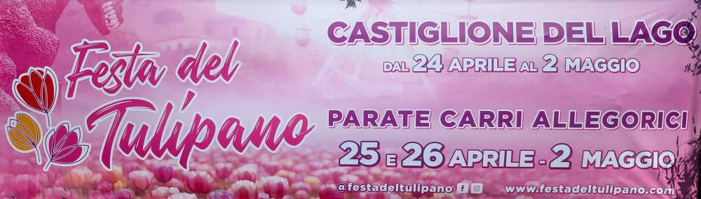 Festa del Tulipano