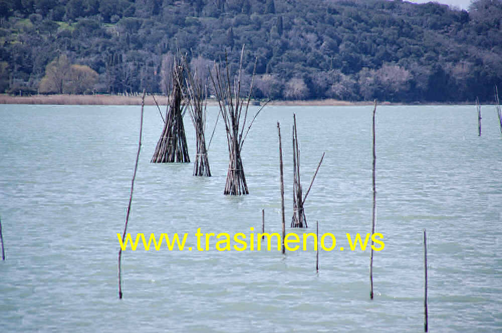 San Feliciano pesca sul Lago Trasimeno