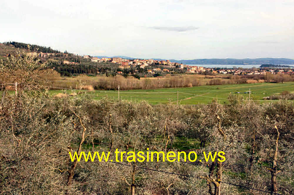 Tuoro sul Trasimeno